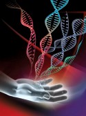 10396472-computer-artwork-showing-a-hand-and-double-stranded-dna-deoxyribonucleic-acid-molecules-dna-is-compo[1]
