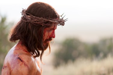 pictures-of-jesus-crown-thorns-1127729-gallery