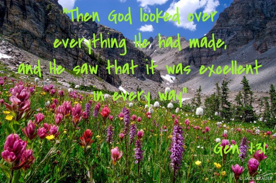 Image result for beauty of God's creation pictures